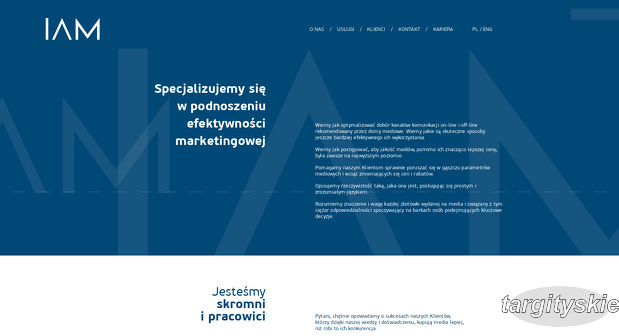 Instytut Audytu Mediowego